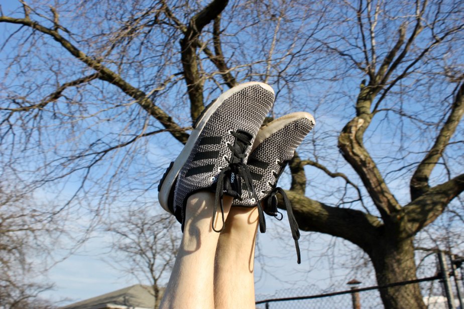 20180424 David scale