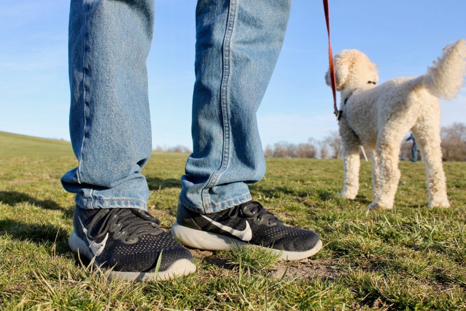 20180420 Bruce and luna scale